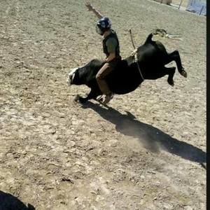 Meet your Posher, Jack